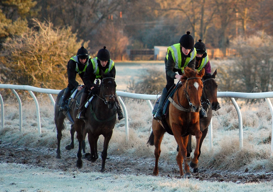 Late November gallop