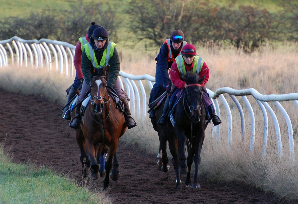 Bonny Houxty and Shoeshine Boy