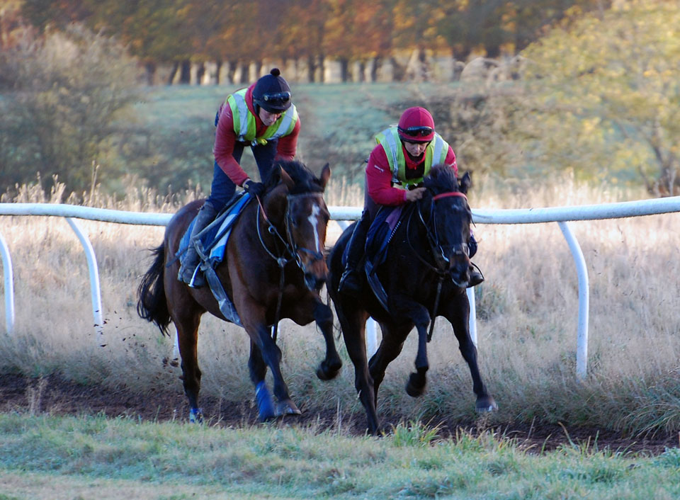 Maid of Houxty with Shoeshine Boy
