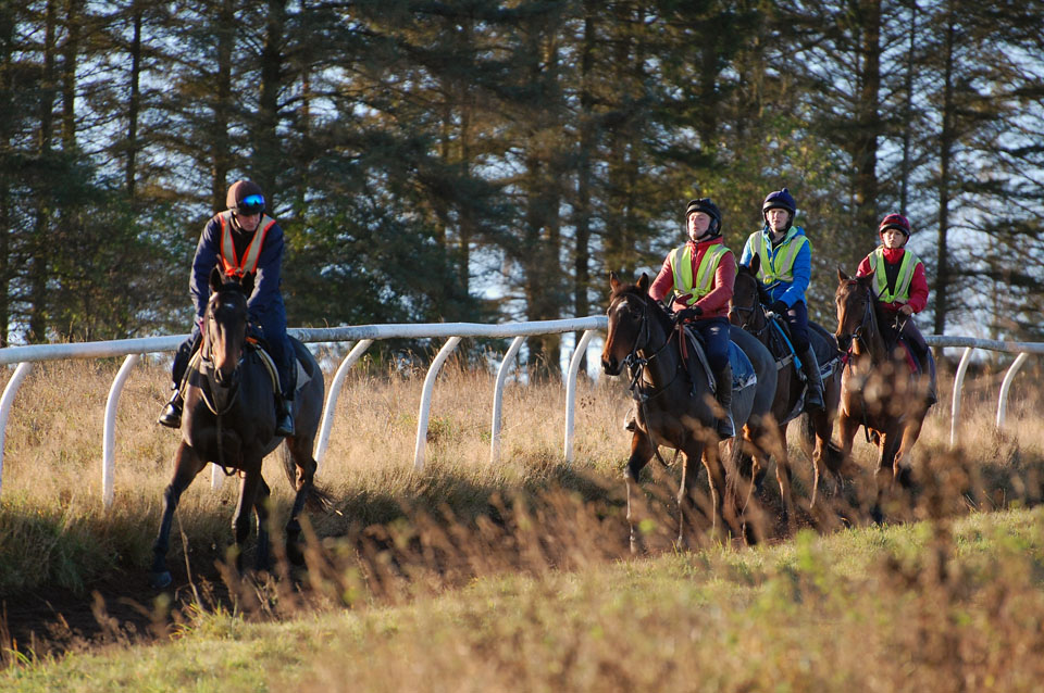 Mid November gallops
