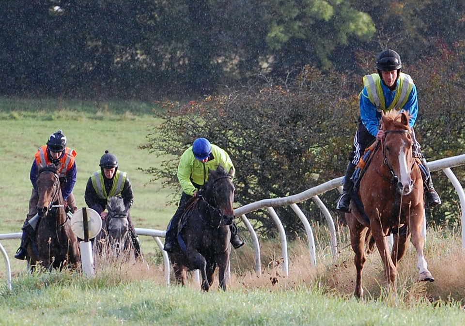 Sat Morning gallop 