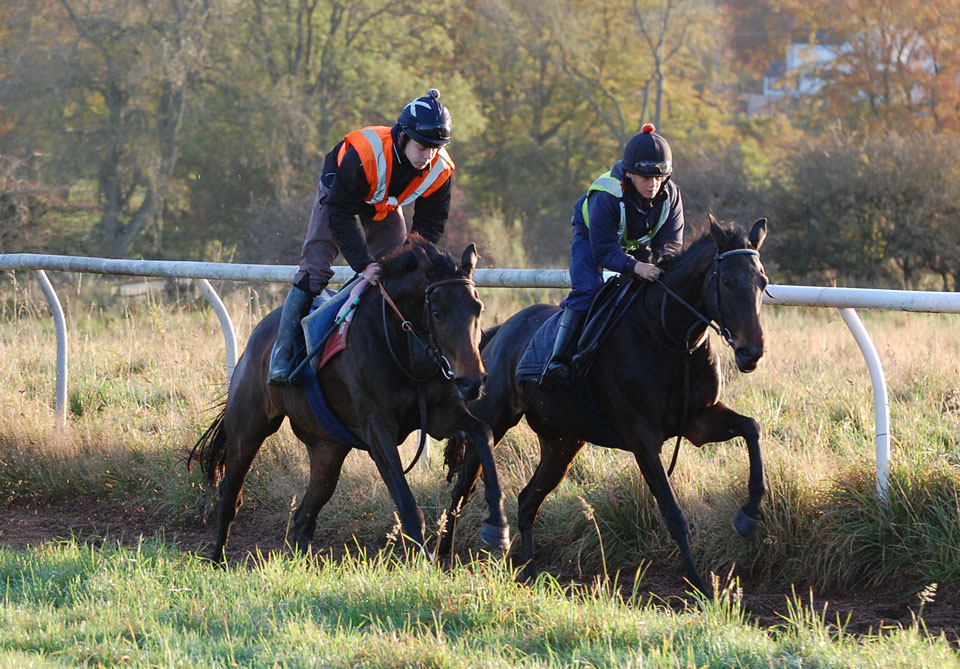 Thimble leading Reeva