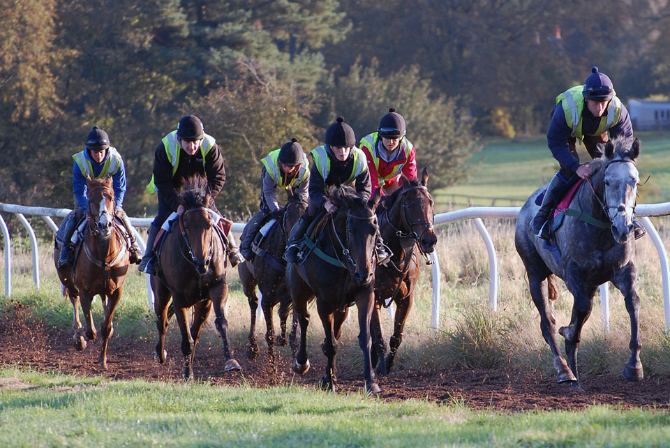 Early October gallop