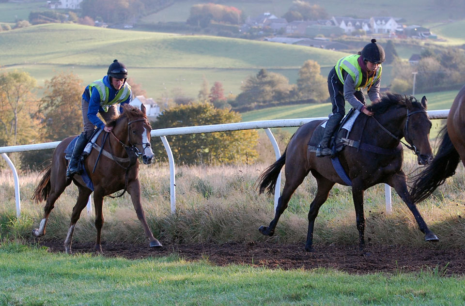 Early October gallop