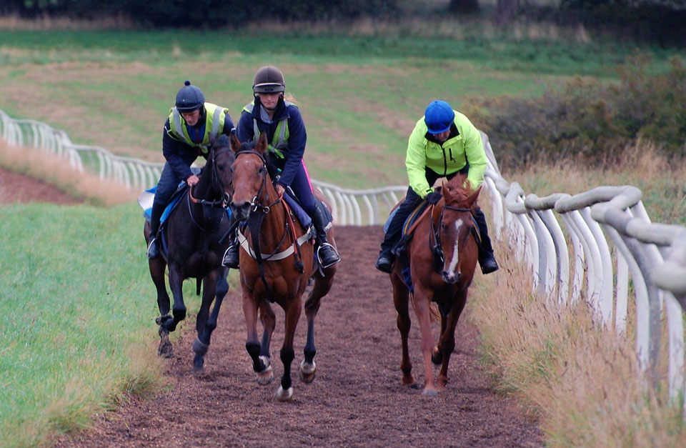 Another trio of fillies