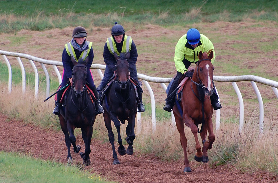 EarlySeasonGallopLot3