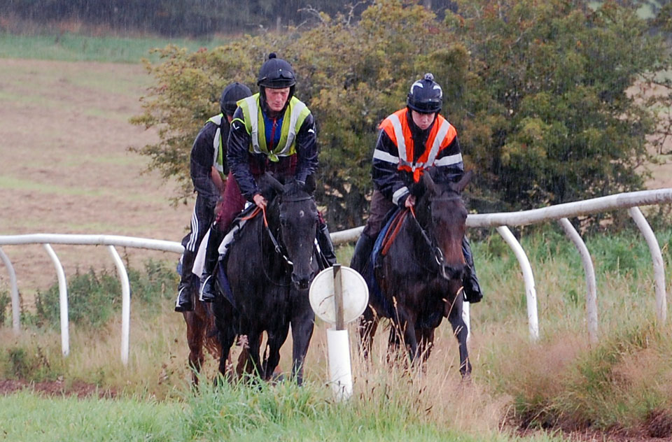 Gallop in the rain
