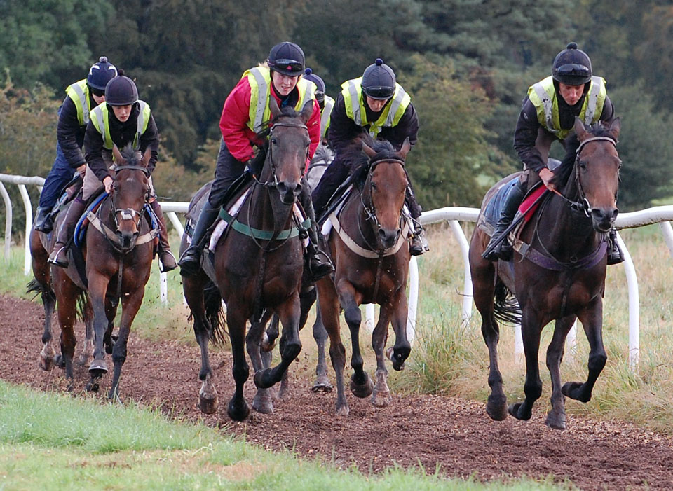September gallop Lot 2