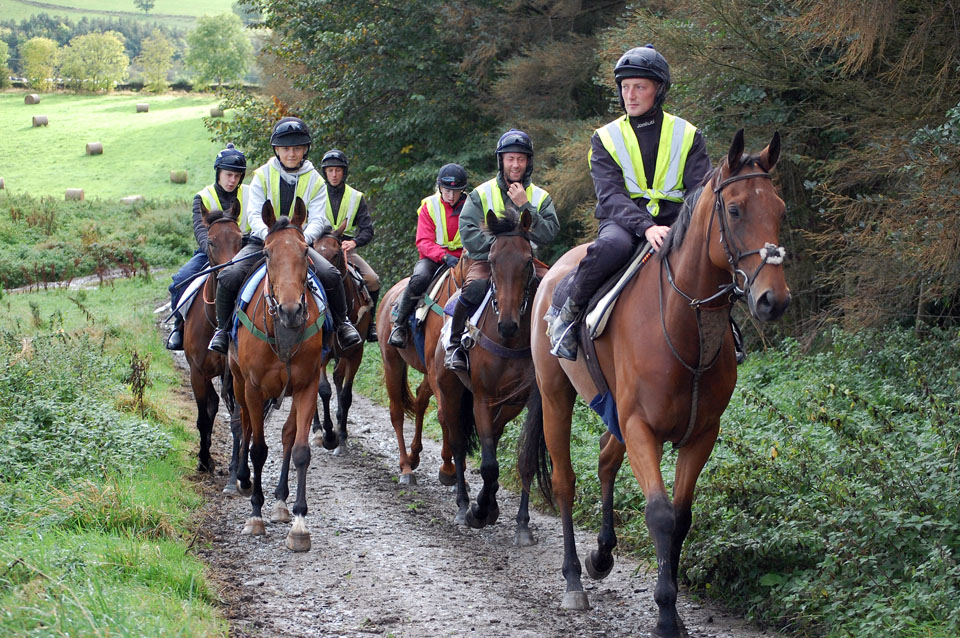 Walking to the gallops