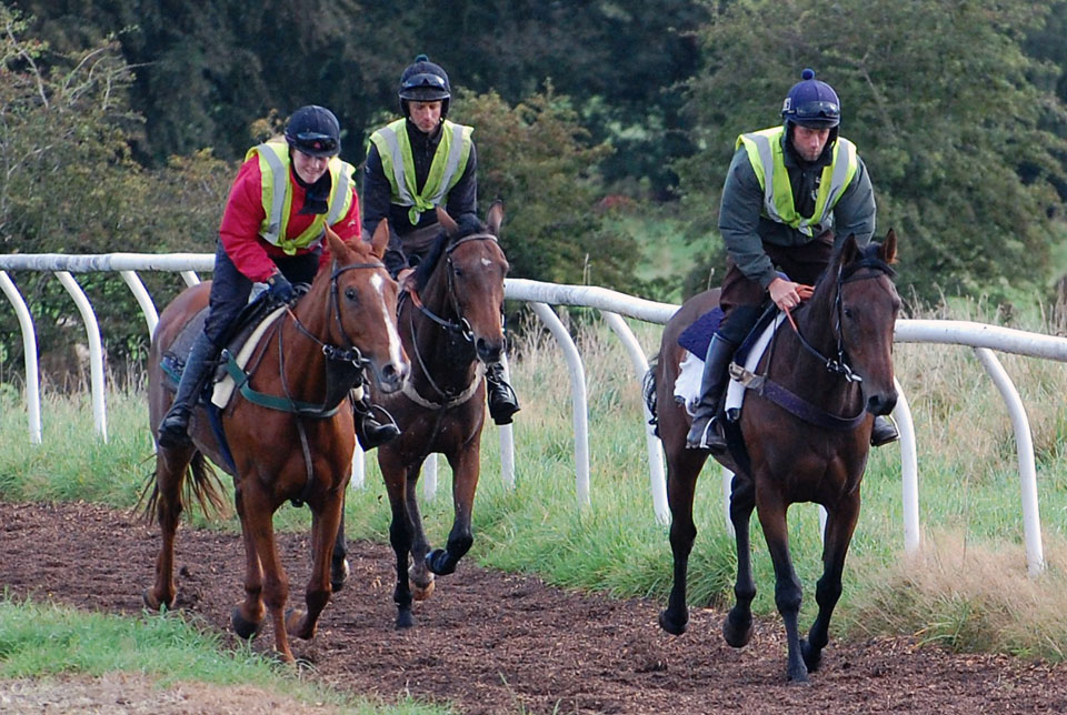 September gallop lot 3