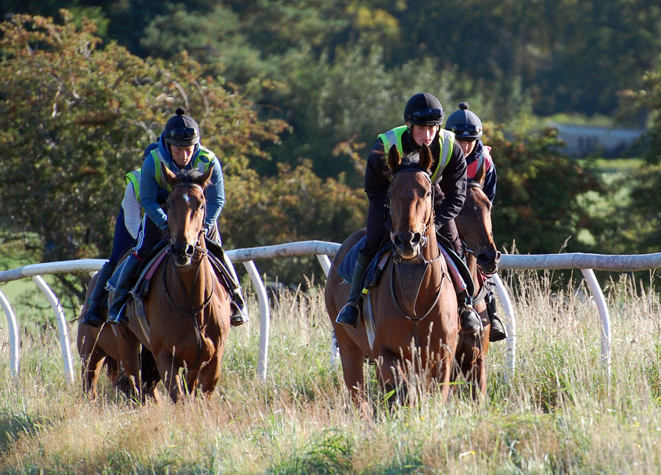 Cowboy Cooper gallop