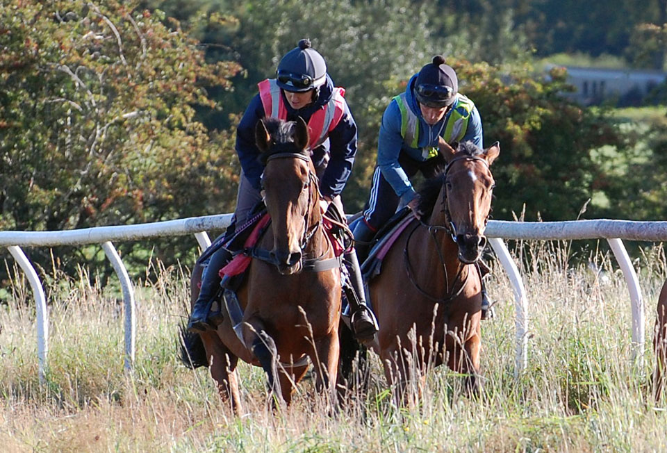 Sept Gallop with Rodney