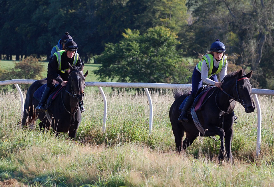 Shoeshine Boy & Bollin Matilda