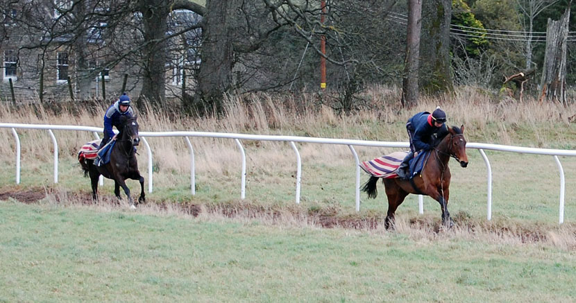 Mid dec gallop