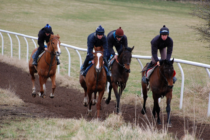 Mid March gallop