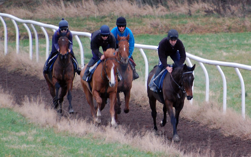 Mid Nov gallop lot 1