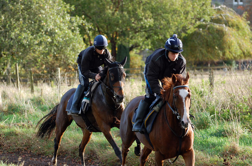 Mid October gallop lot 1