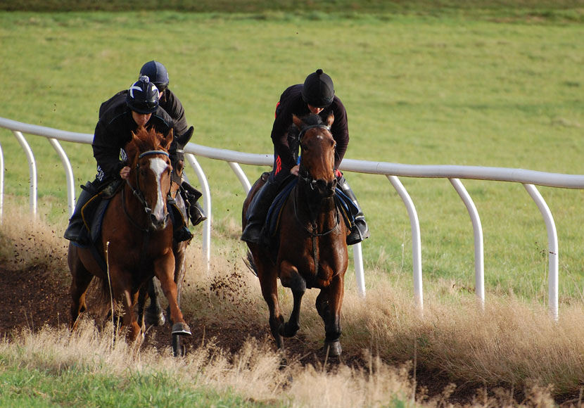 Mid October lot 1 v2