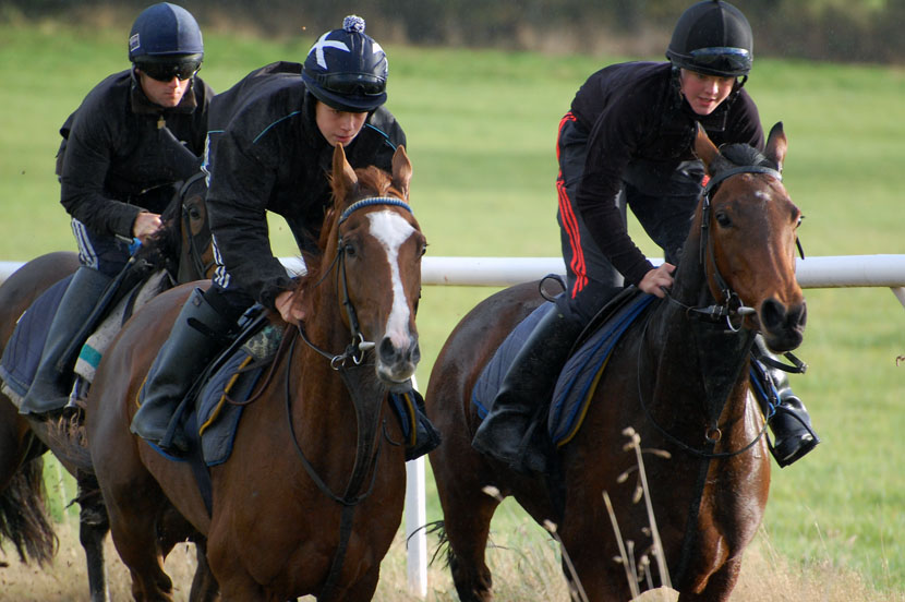 Mid October gallop