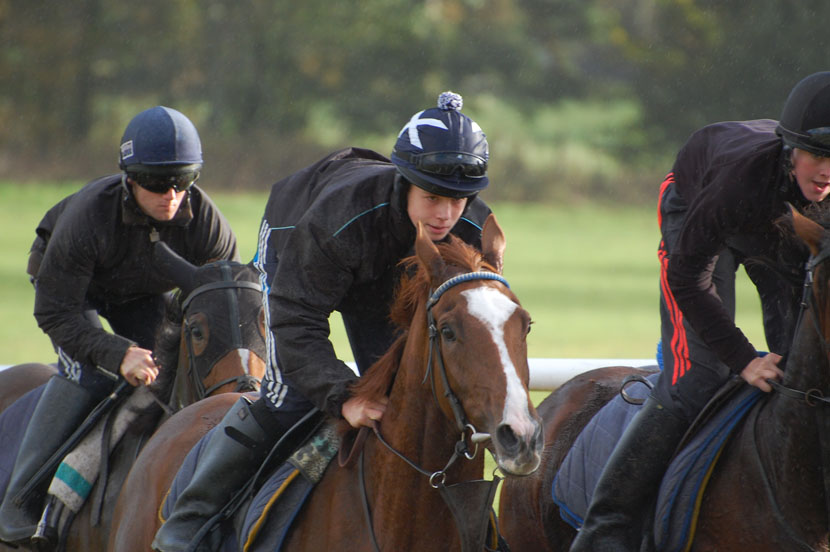 Hartforth on the gallops mid Oct