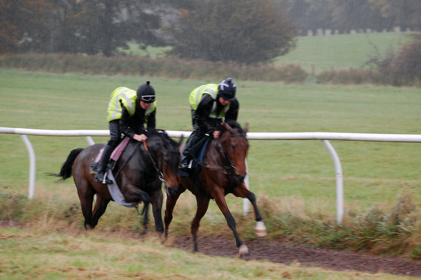 Mid October gallop