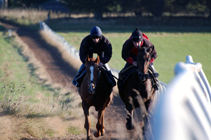 Late Sept gallop lot 1