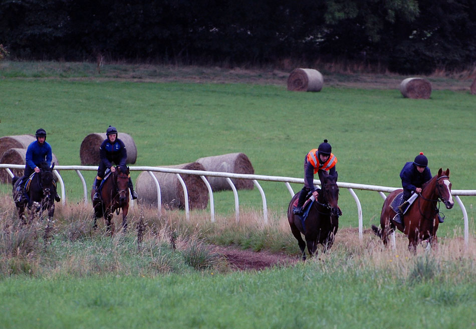 End Sept gallop lot 2