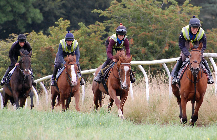 Mid Sept gallop