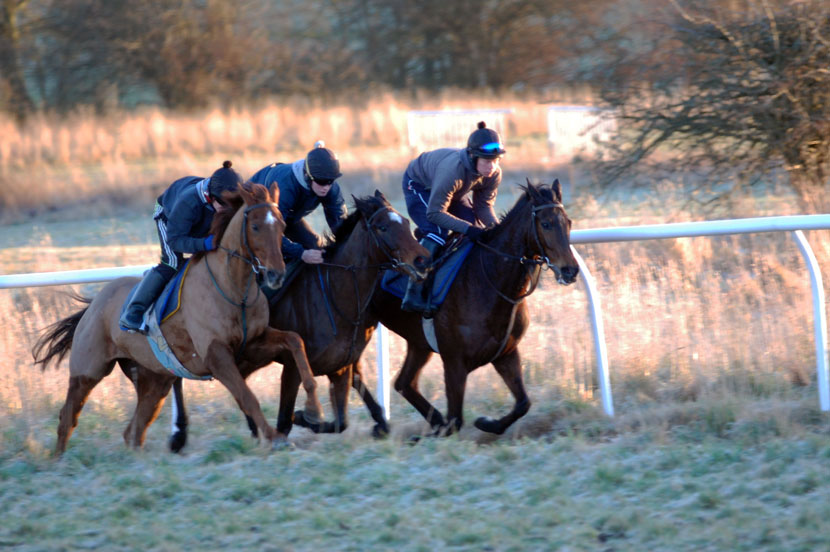 Mid Jan gallop
