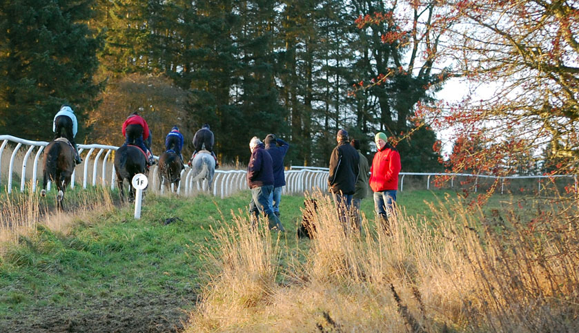 Saturday morning gallops