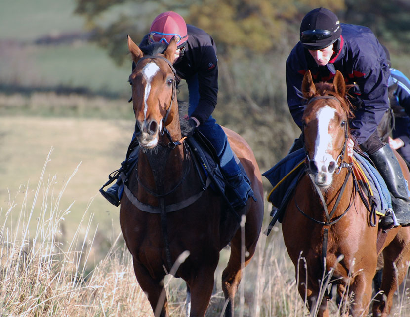 King Kalium and Nodda High Kid