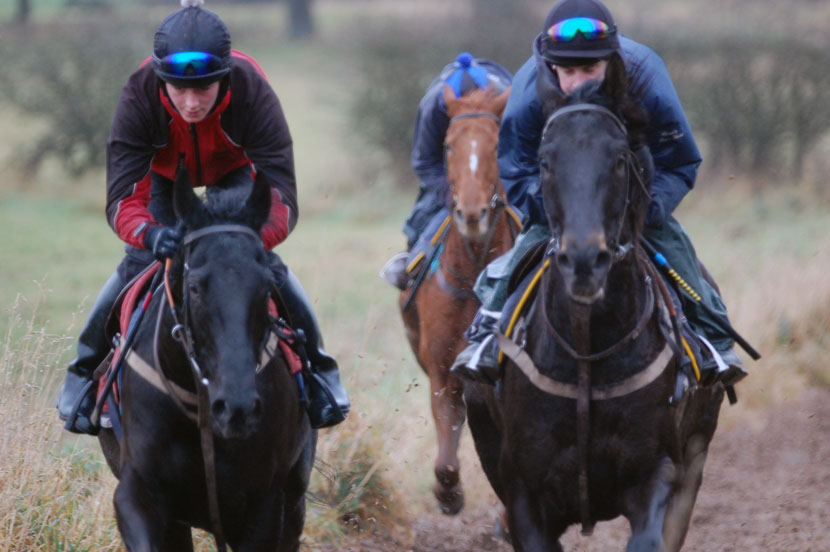 Late November gallop 