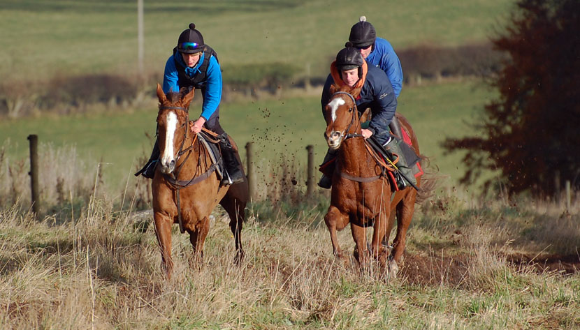 Fiona and Lulu on the gallops