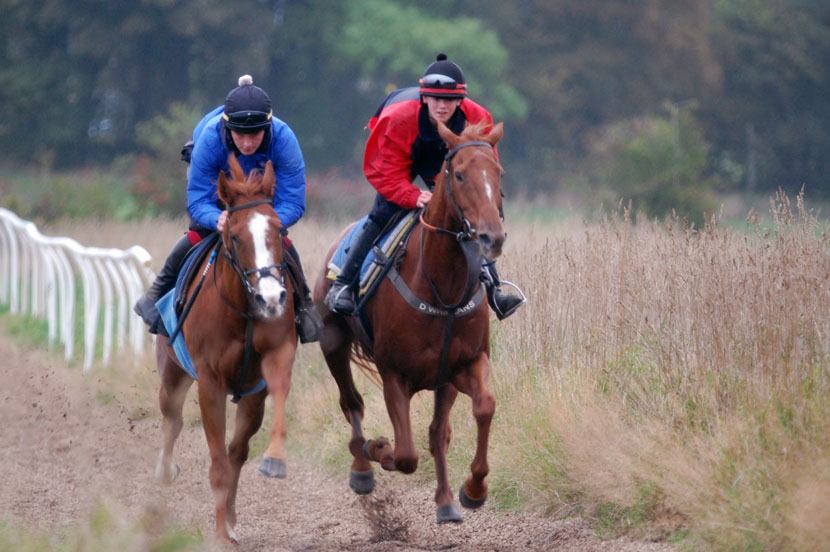Hector and Charlie gallop