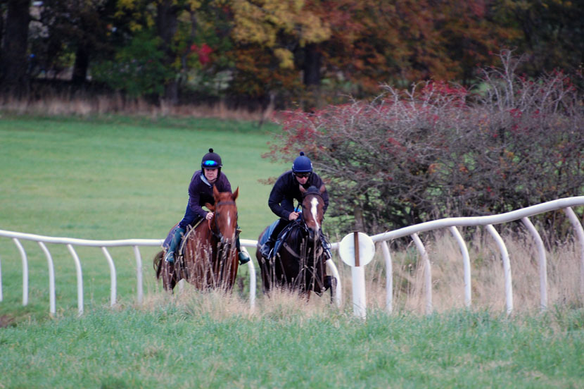 Late October gallop
