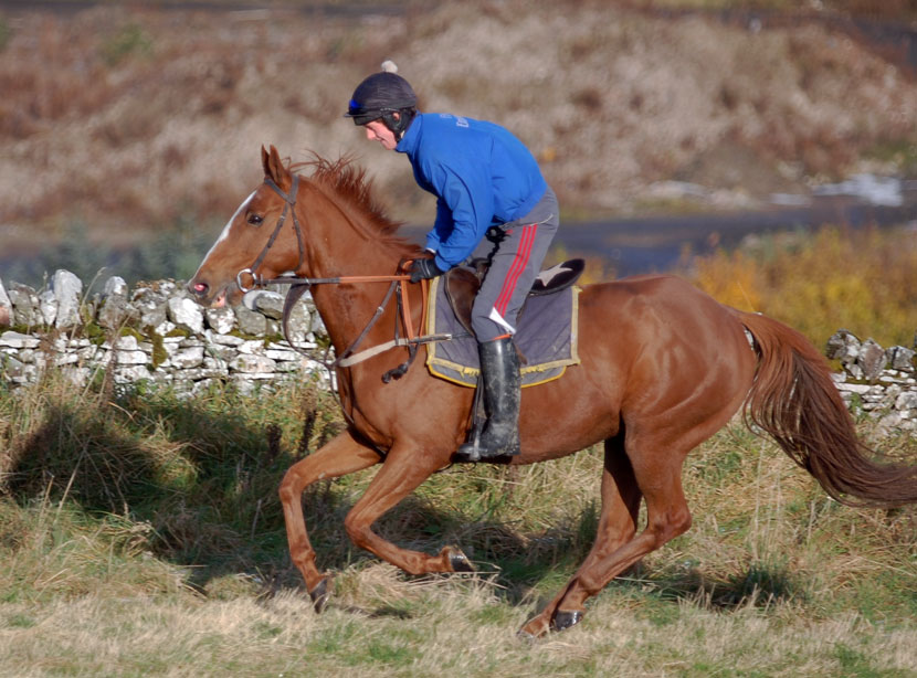 Hawaii Klass in Oct gallop