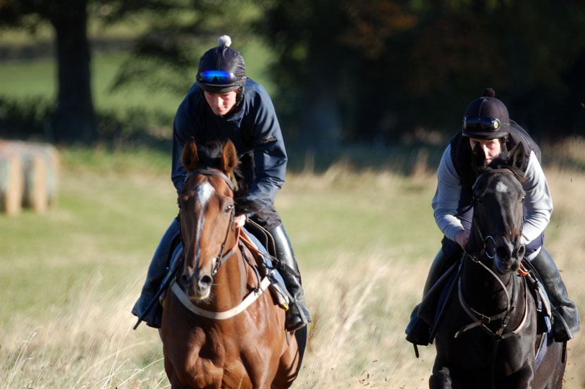October gallop King & Naomi