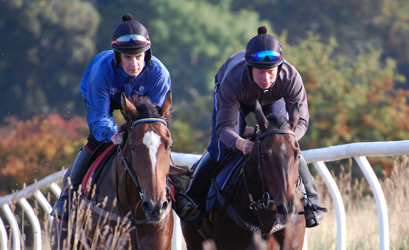 Belle & Bruce Sept 13