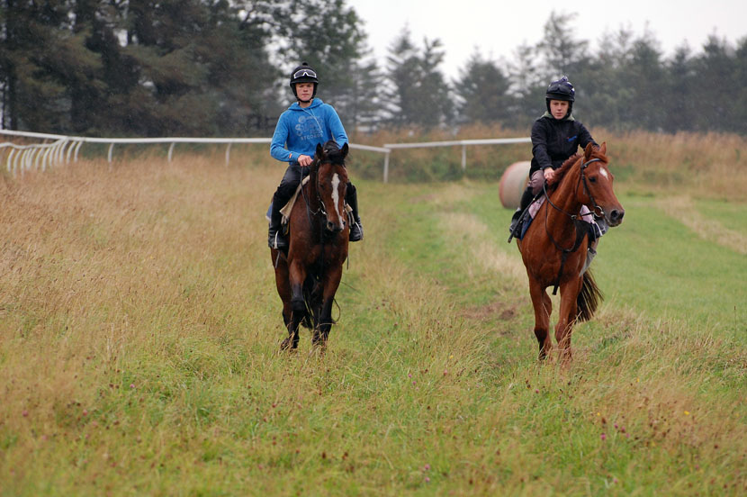Egon Spenglar and an Endoli mare
