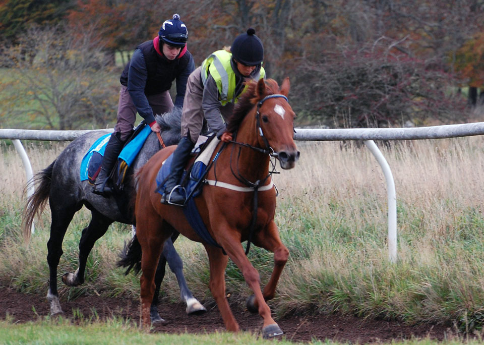Baby on the gallops