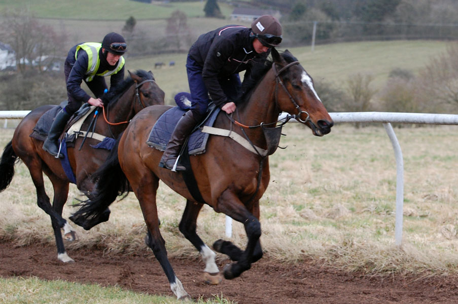 Accordini at the gallop