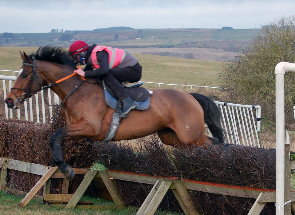 Bonny Houxty jumping