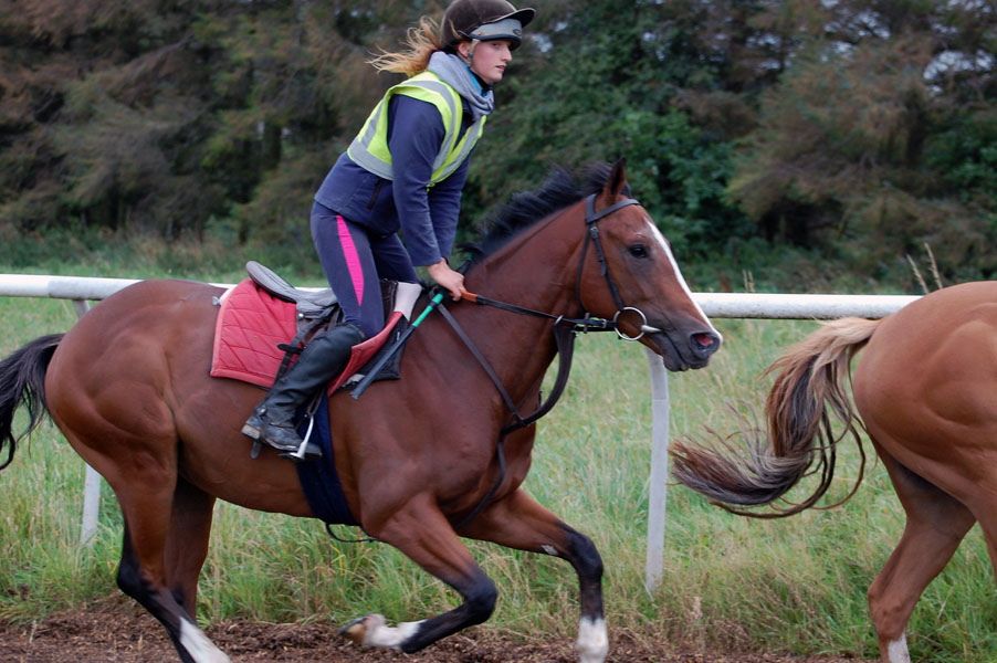 Dreamy Gallop Photio