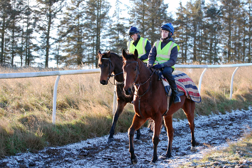 Fizz preparing for exercise