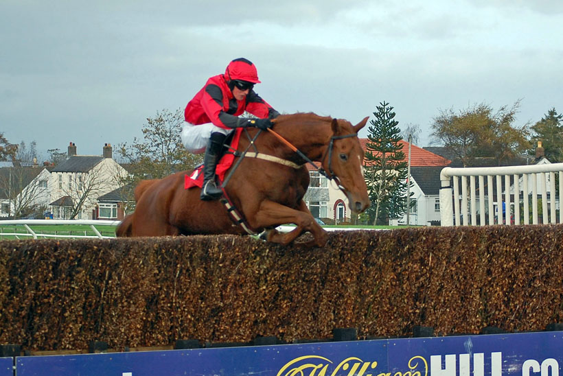 Spike taking a fence