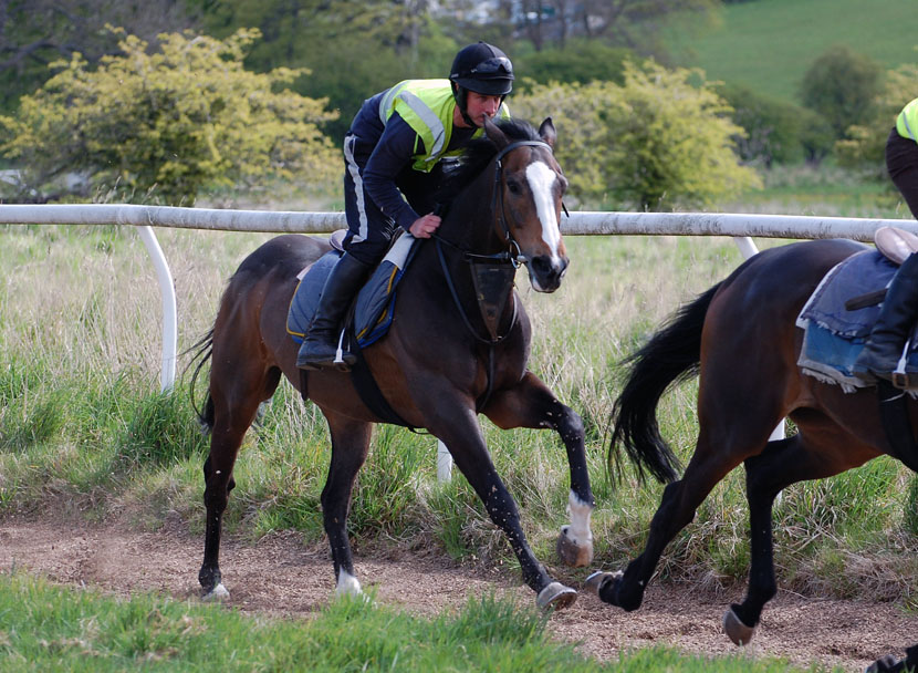 Dumbarton on the gallops