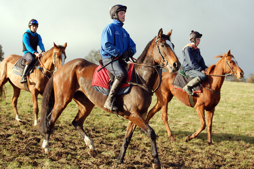 Ellistrin Belle pre gallop