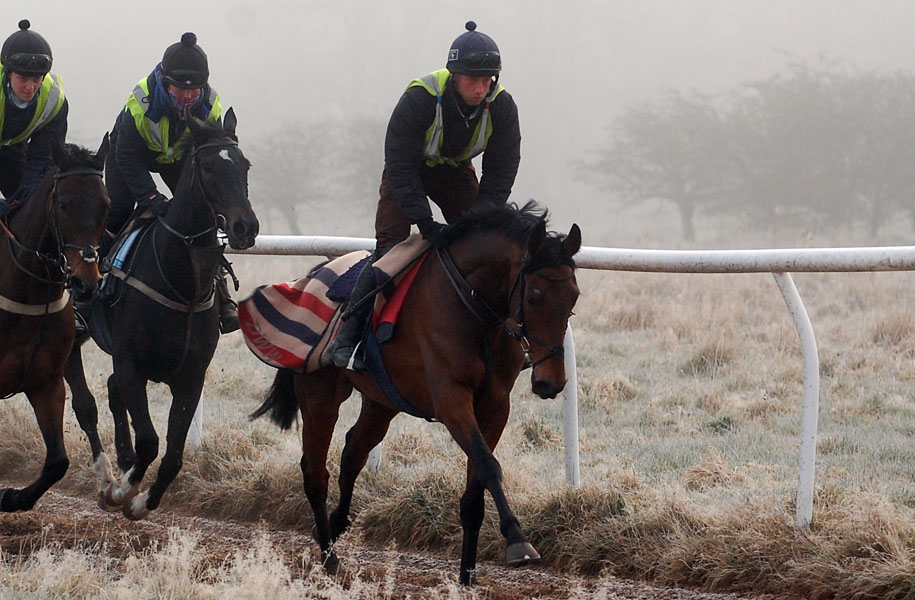 Rodney On the gallops