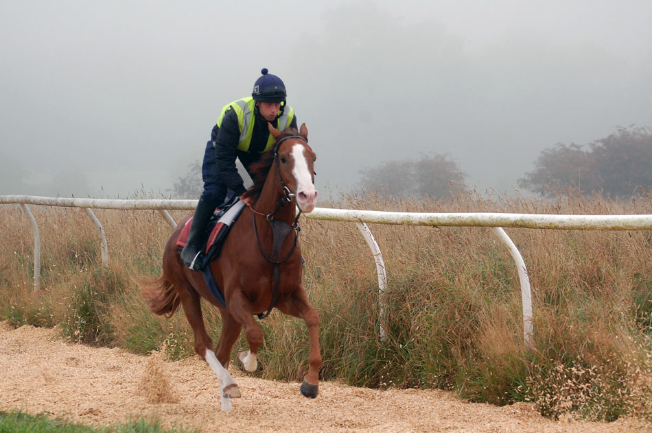 Percy October gallop