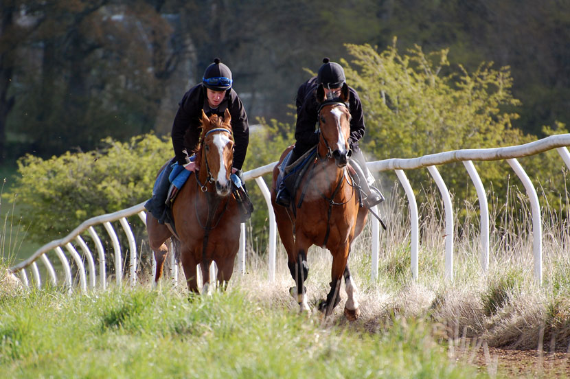 April 15 Hart gallop